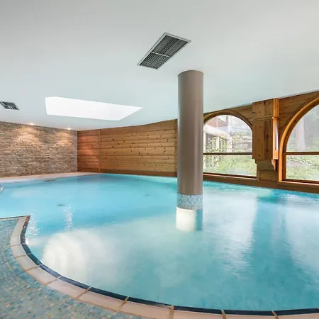 Apartamento 1850 - Skis Aux Pieds Avec Spa, Cheminee Et Piscine, 3 - Fr-1-564-115