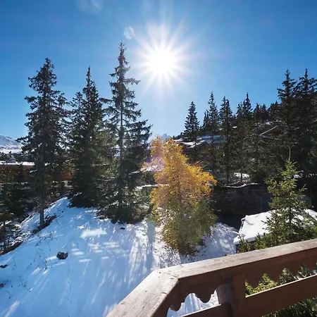 Apartamento 1850 - Skis Aux Pieds Avec Spa, Cheminee Et Piscine, 3 - Fr-1-564-115 *